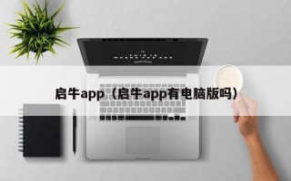 启牛app（启牛app有电脑版吗）