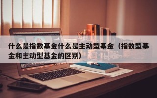 什么是指数基金什么是主动型基金（指数型基金和主动型基金的区别）