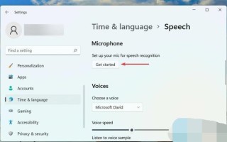 Windows11语音输入没反应怎么回事 Win11无法使用语音输入解决方法