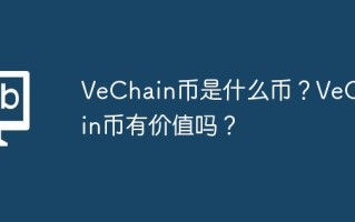 VeChain币是什么币？VeChain币有价值吗？