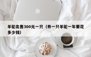 羊驼出售300元一只（养一只羊驼一年要花多少钱）