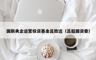 国新央企运营投资基金吕致远（吕超国资委）