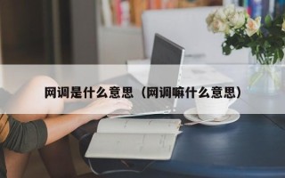 网调是什么意思（网调嘛什么意思）