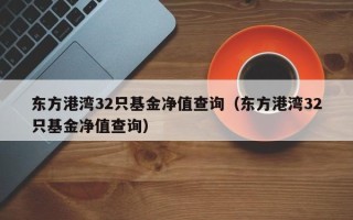 东方港湾32只基金净值查询（东方港湾32只基金净值查询）