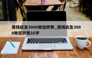 借钱应急3000微信转账_借钱应急3000微信转账16岁