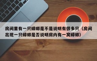 房间里有一只蟑螂是不是说明有很多只（房间出现一只蟑螂是否说明房内有一窝蟑螂）