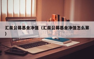 汇泉公募基金净值（汇泉公募基金净值怎么算）