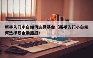 新手入门小白如何选择基金（新手入门小白如何选择基金读后感）