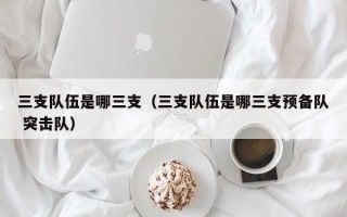 三支队伍是哪三支（三支队伍是哪三支预备队 突击队）