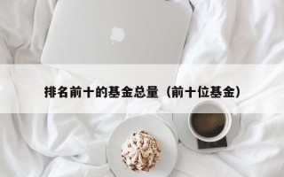 排名前十的基金总量（前十位基金）