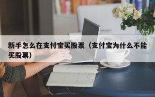 新手怎么在支付宝买股票（支付宝为什么不能买股票）