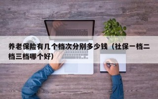 养老保险有几个档次分别多少钱（社保一档二档三档哪个好）