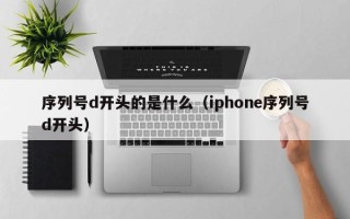 序列号d开头的是什么（iphone序列号d开头）