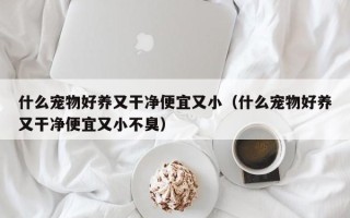 什么宠物好养又干净便宜又小（什么宠物好养又干净便宜又小不臭）