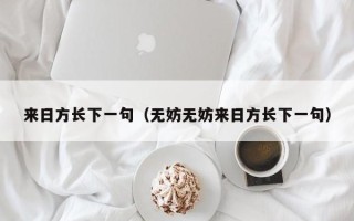 来日方长下一句（无妨无妨来日方长下一句）