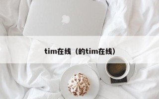 tim在线（的tim在线）