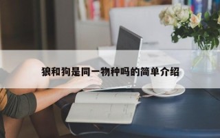 狼和狗是同一物种吗的简单介绍