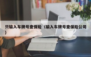 只输入车牌号查保险（输入车牌号查保险公司）