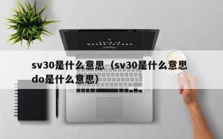 sv30是什么意思（sv30是什么意思 do是什么意思）