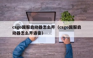 csgo国服启动器怎么开（csgo国服启动器怎么开语音）