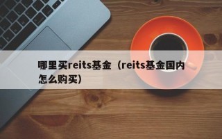 哪里买reits基金（reits基金国内怎么购买）