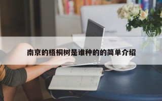 南京的梧桐树是谁种的的简单介绍