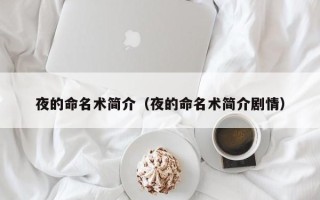 夜的命名术简介（夜的命名术简介剧情）