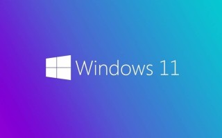 win11关闭右侧通知的方法