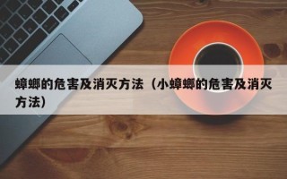 蟑螂的危害及消灭方法（小蟑螂的危害及消灭方法）