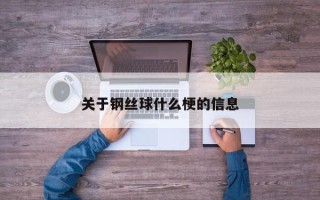 关于钢丝球什么梗的信息