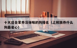 十大适合家养没体味的狗排名（上班族养什么狗最省心）