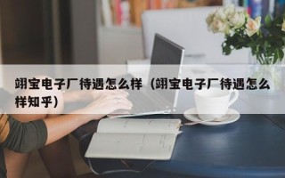 翊宝电子厂待遇怎么样（翊宝电子厂待遇怎么样知乎）