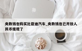 央数钱包购买比亚迪汽车_央数钱包已开放人民币提现了