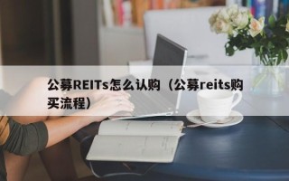 公募REITs怎么认购（公募reits购买流程）