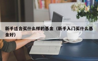 新手适合买什么样的基金（新手入门买什么基金好）