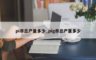 pi币总产量多少_pig币总产量多少